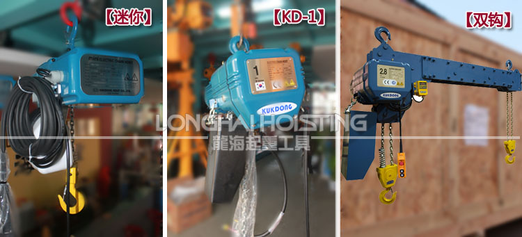 韓國KD進(jìn)口電動(dòng)葫蘆