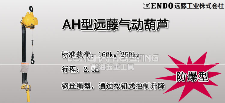 遠(yuǎn)藤ENDO AH型氣動葫蘆